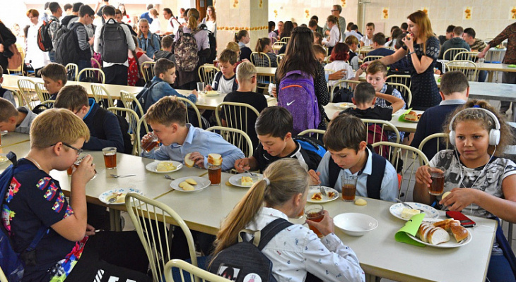 Не плесень, а зеленка: родители рассказали о проверках еды в школах Ярославля