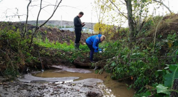 Виновника нашли: ярославские специалисты проверили реку Нору