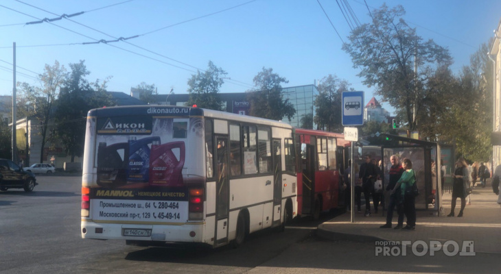 Перевозчики рассекретили новую стоимость проезда в маршрутках в Ярославле