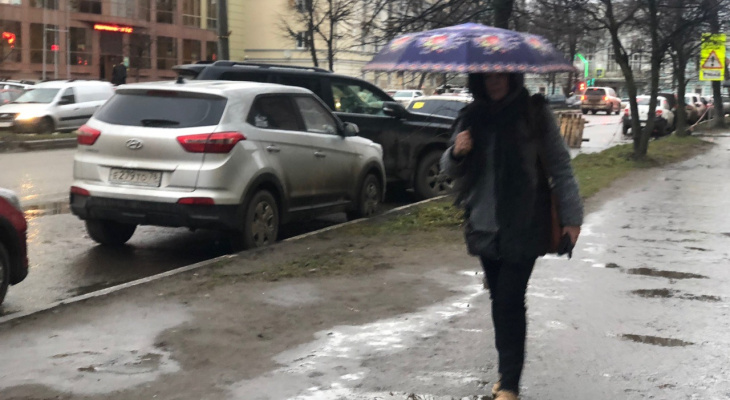 Шторм и ледяные дожди: синоптики шокировали прогнозом ярославцев