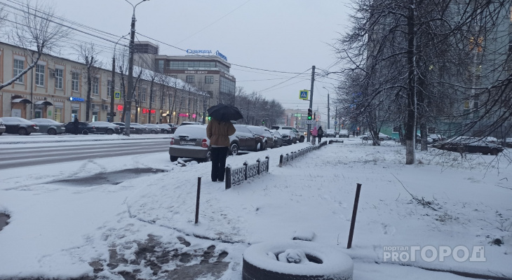 Назвали дату прихода весны в Ярославль