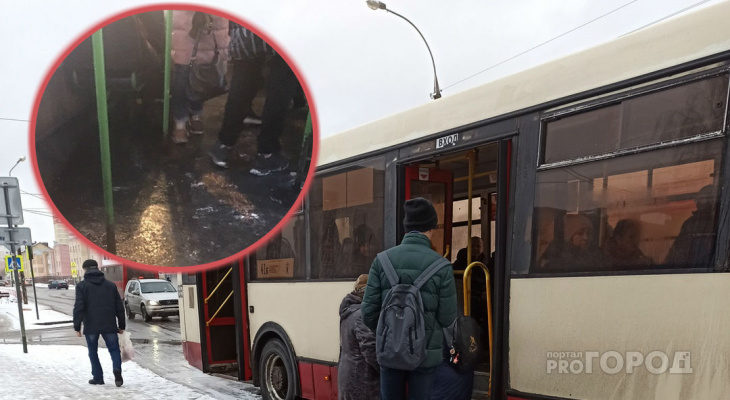 Вошел в автобус и ... упал: на обледенелый транспорт жалуются ярославцы