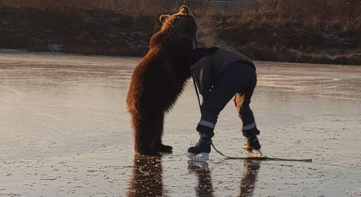 Медведь катил человека по льду: видео из Ярославской области поразило американцев