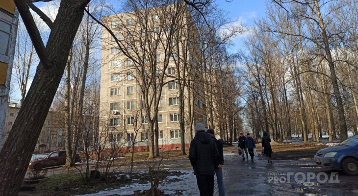 Зима, уходи: синоптики рассказали, какими будут весна и лето 2020 в Ярославле