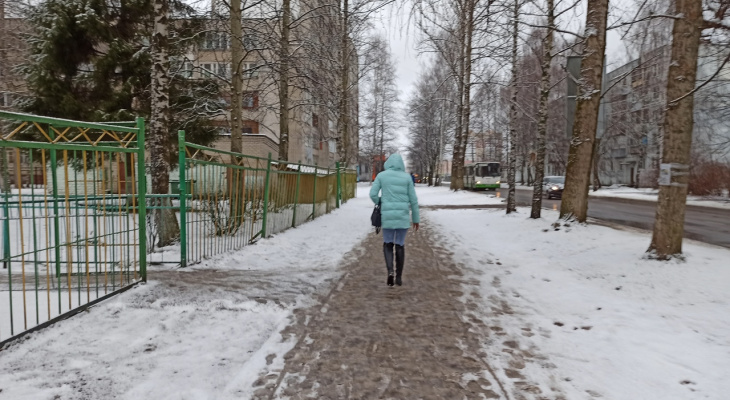 Завалит снегом: экстренное предупреждение синоптиков для ярославцев