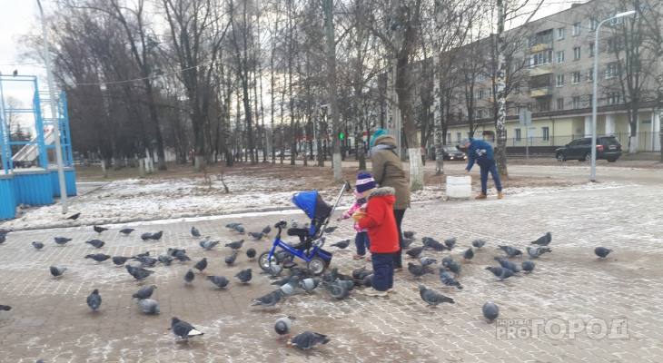 "Город выкинул деньги": блогер Варламов о парке Ярославля, отремонтированном за 23 миллиона
