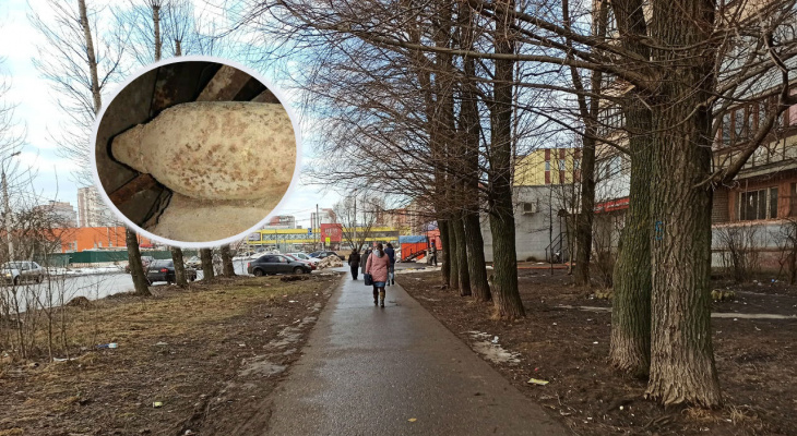 В Ярославле из-за мины эвакуировали жилой дом: где ее нашли