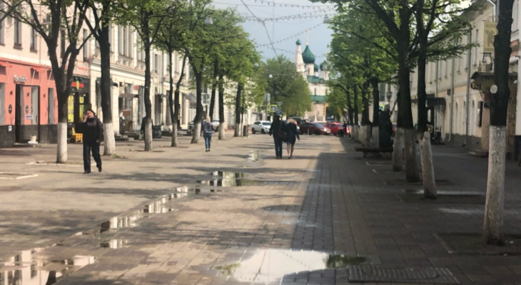 Свисают отовсюду: что возмутило туриста в Ярославле
