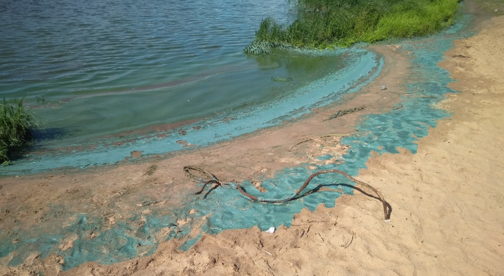 Почему реки в Ярославле стали синими, объяснили власти