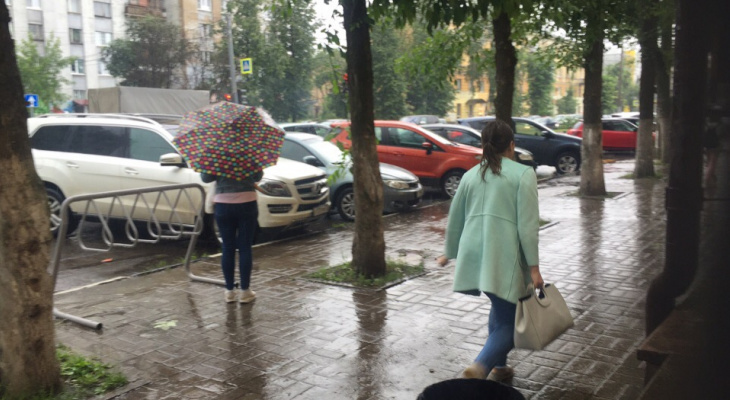 Штормовой ветер надвигается на Ярославль: экстренное предупреждение от МЧС
