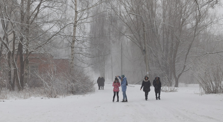 Аномальную зиму в Ярославле пообещали синоптики