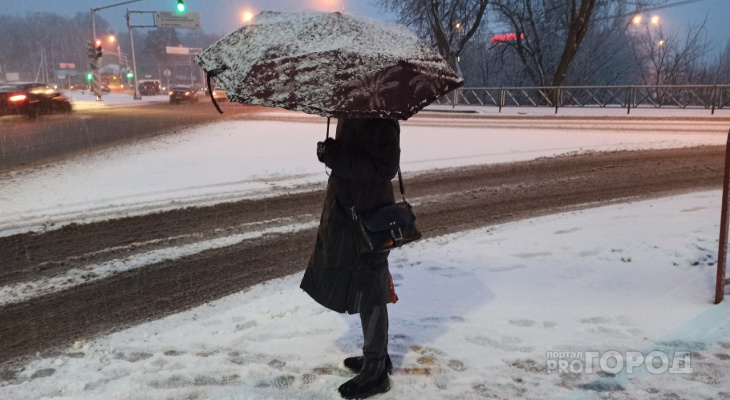 Завалит снегом и ворвется резкое тепло: синоптики шокировали прогнозом ярославцев