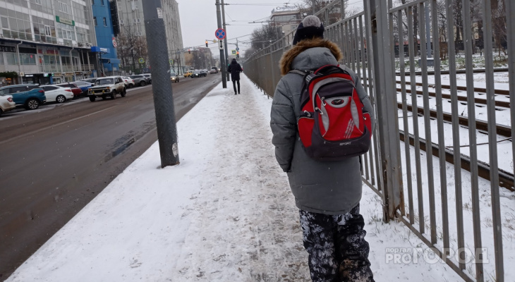 Волна заявлений от родителей: можно ли перевести школьника на дистант в Ярославле
