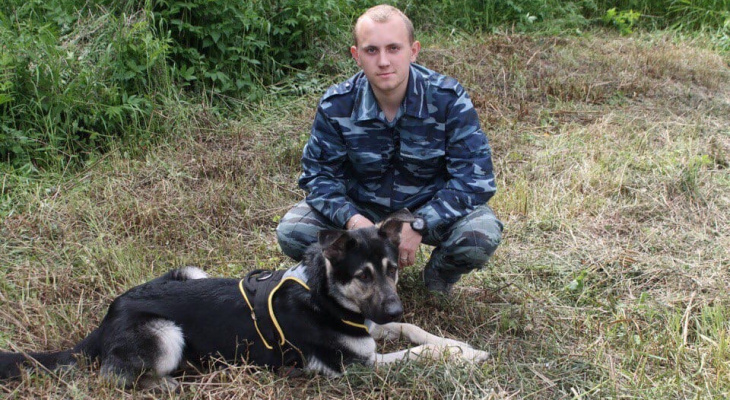 "По нему скучают друзья": хозяин сбитой водителем маршрутки собаки в Ярославле рассказал подробности
