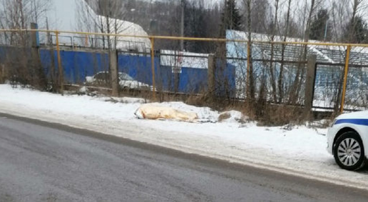 Это не ДТП: в Ярославле у дороги нашли труп мужчины
