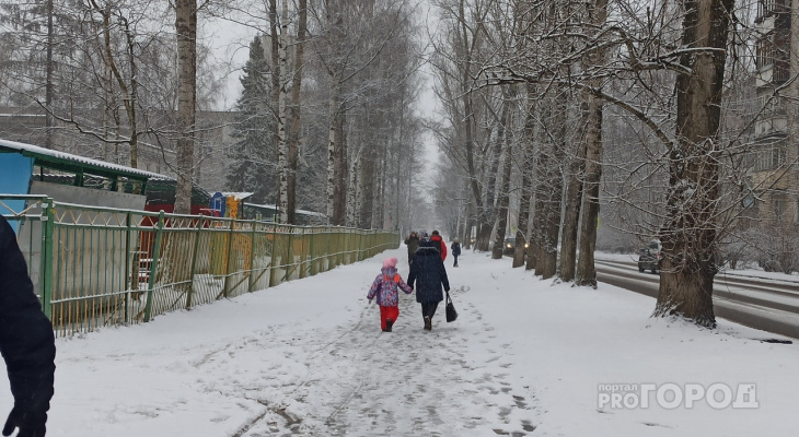 Об аномальных морозах уже завтра МЧС экстренно предупреждает ярославцев