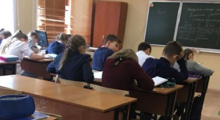 «В суд подала я»: директор ярославской школы о том, почему дети без манту сидят дома