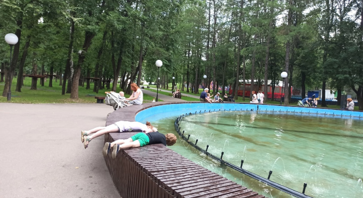 Под 40 в выходные: как долго в Ярославле простоит жара