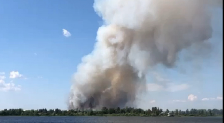 Столб дыма поднимался над лесами: подробности пожара под Ярославлем