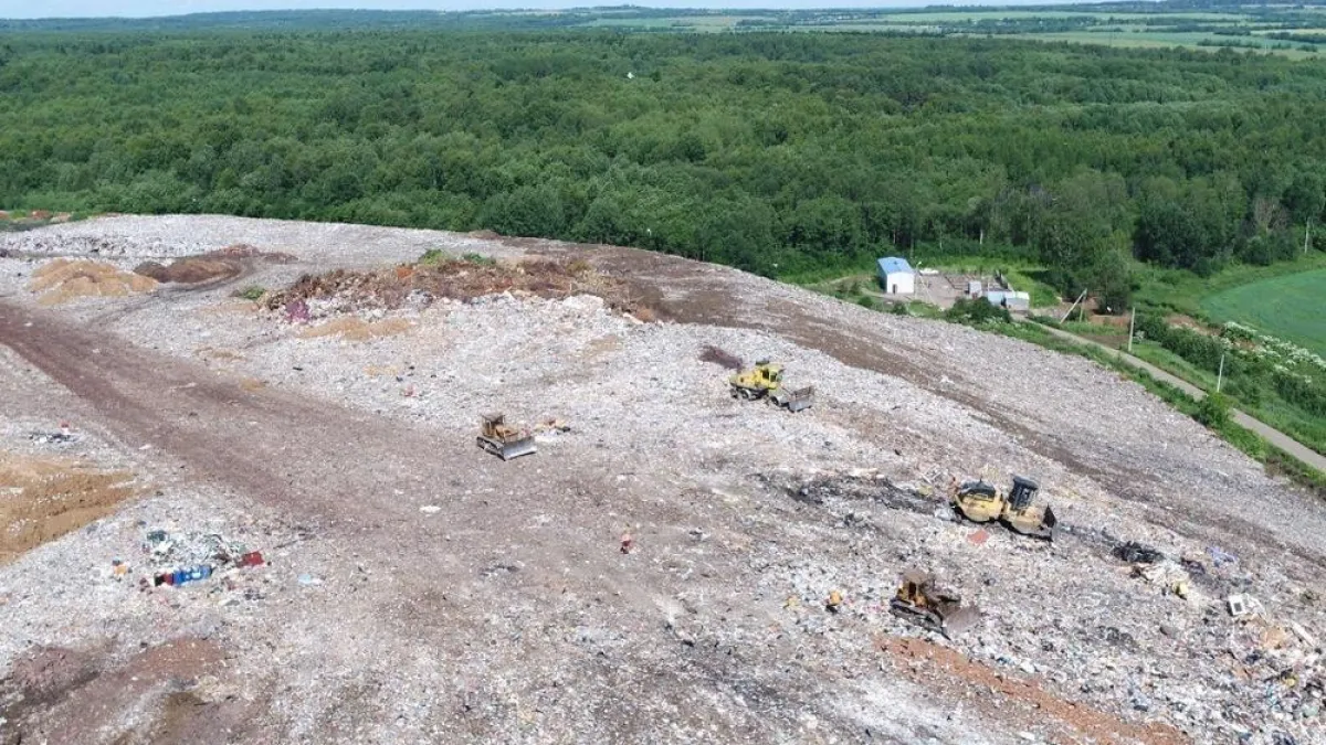 В Скоково срубят деревья ради мусорного комплекса на 220 тысяч тонн