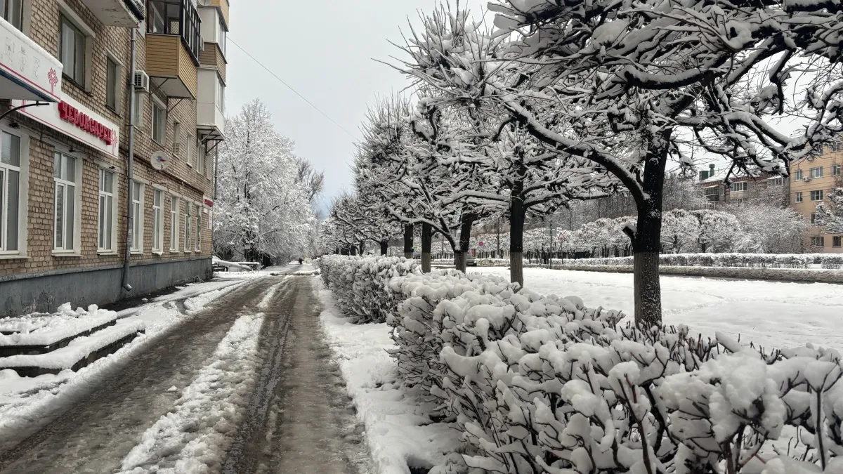 Солнце выглянет, но радоваться рано: синоптики раскрыли сюрпризы погоды на 7 и 8 марта — ветер разгонится до 15 м/с