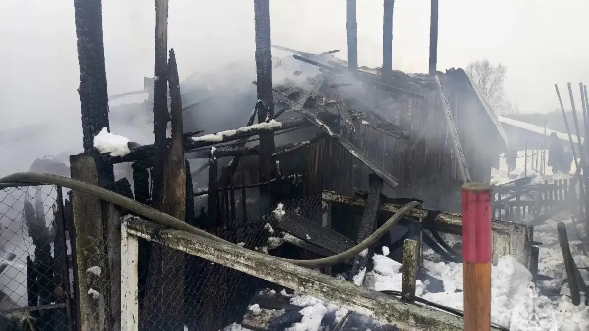 Электричество сыграло злую шутку — хозпостройка под Угличем превратилась в пепел