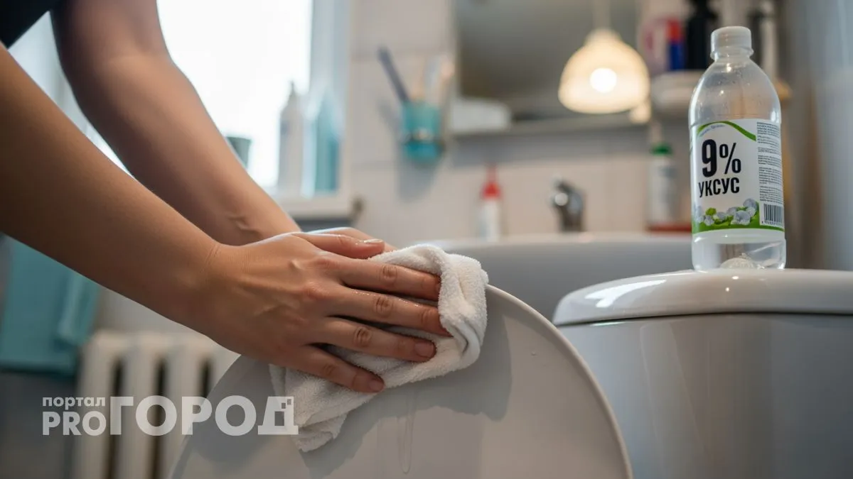 Залила уксус в унитаз на ночь — утром даже муж не поверил что это наша сантехника