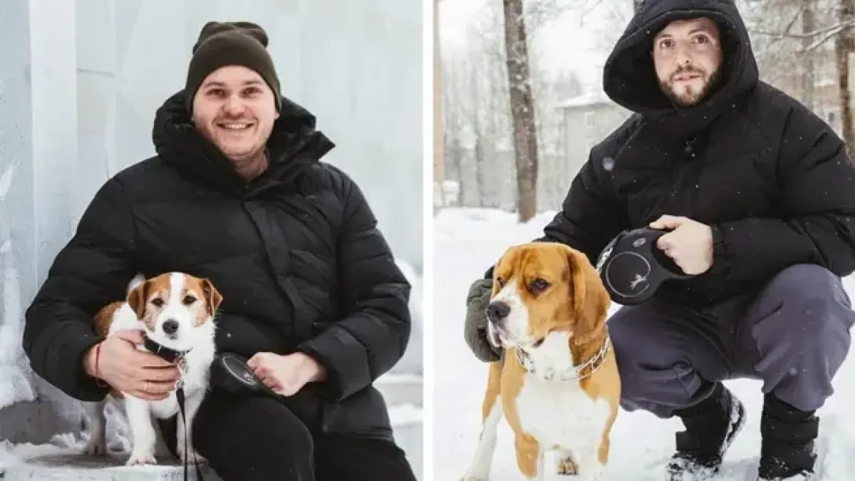 «Неуправляемый пёс, непослушный»: ярославцы рассказали правду о своих питомцах