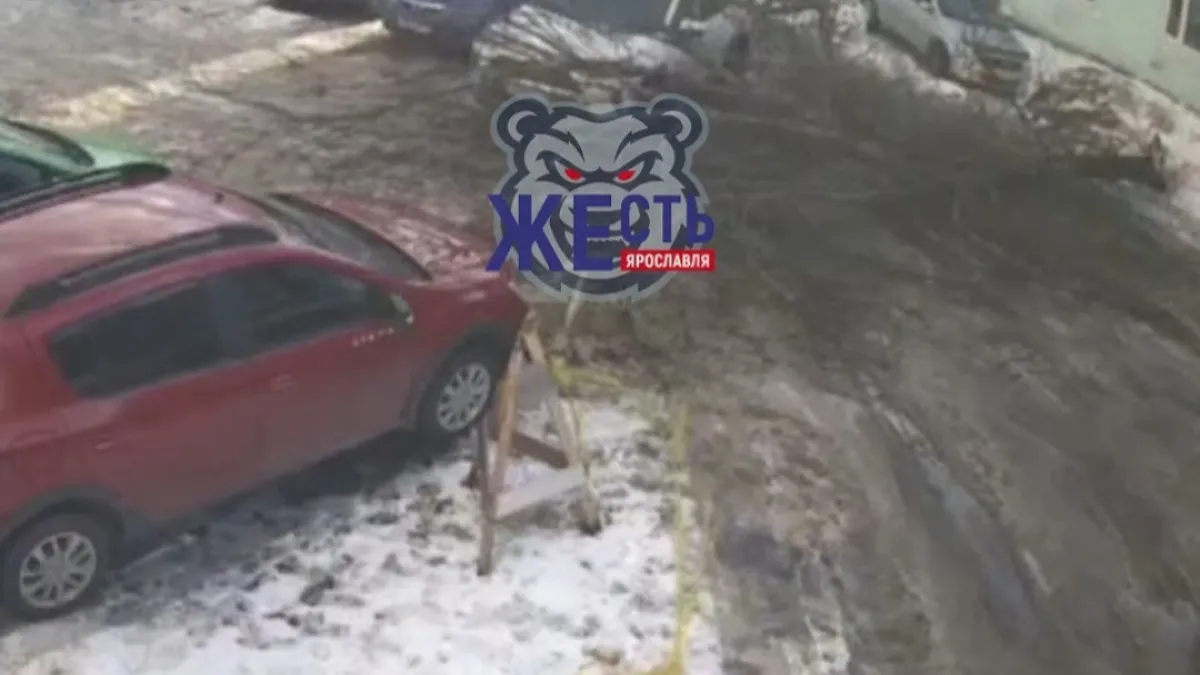 В Ярославле дерево упало на линии электропередач