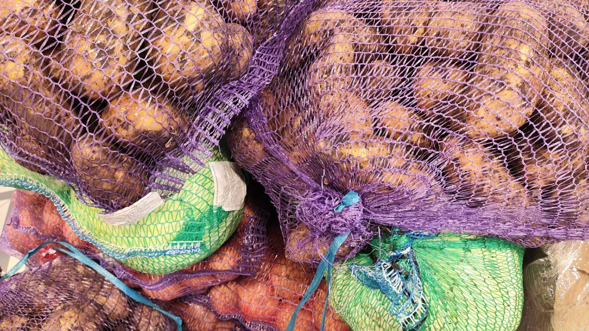 Картошка по 27 рублей, искусственный газон и мясо кабана: «Светофор» завалил новинками — у входа яблоку негде упасть