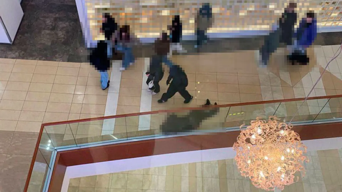 Появилось массовой видео драки в "Ауре": один из участников лежал на полу в ТЦ 