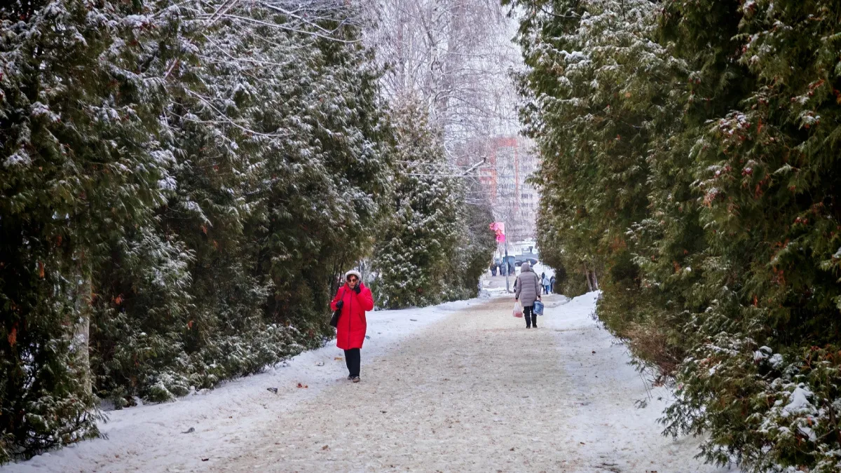 Солнце и тепло на юге: антициклон подарит Южной России погожие дни — прогноз погоды на неделю