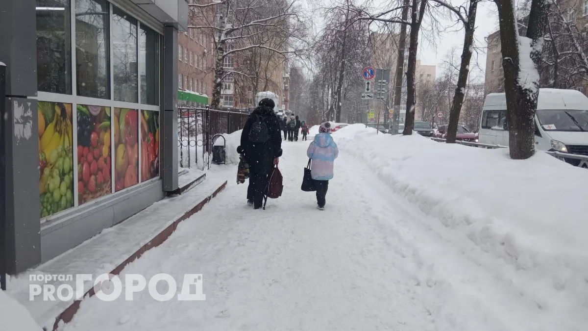 Зима сдаёт позиции: синоптики обещают ярославцам потепление и мокрый снег