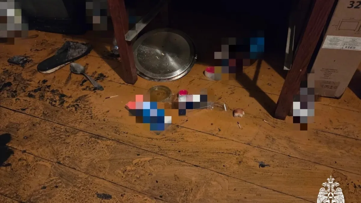  В Ярославле из горящей квартиры спасли  двух детей