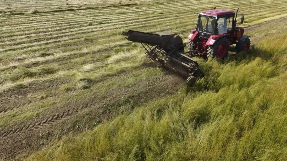 30 млрд рублей инвестиций: как Ярославская область меняет сельское хозяйство