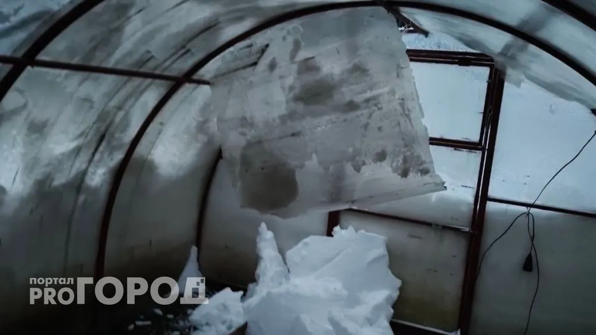 Поликарбонат убьет вашу теплицу: новый материал за копейки спасет ваш урожай