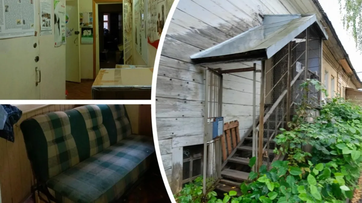 Дом аптекаря XVIII века продают по частям за 8,6 миллионов