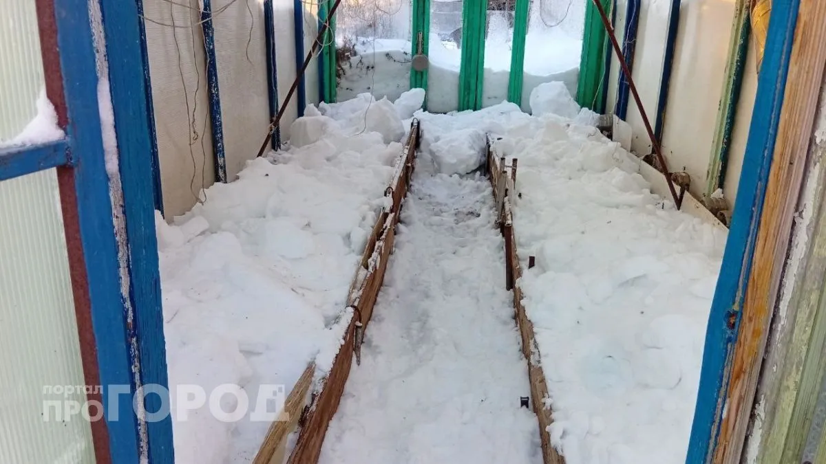 Укрытие от возвратных заморозков за 15 минут: быстрые конструкции, которые спасают рассаду