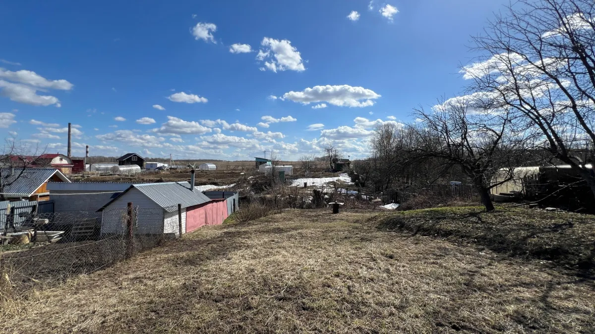 «Воткнул в самые гиблые места участка»: невероятная история преображения участка без больших затрат