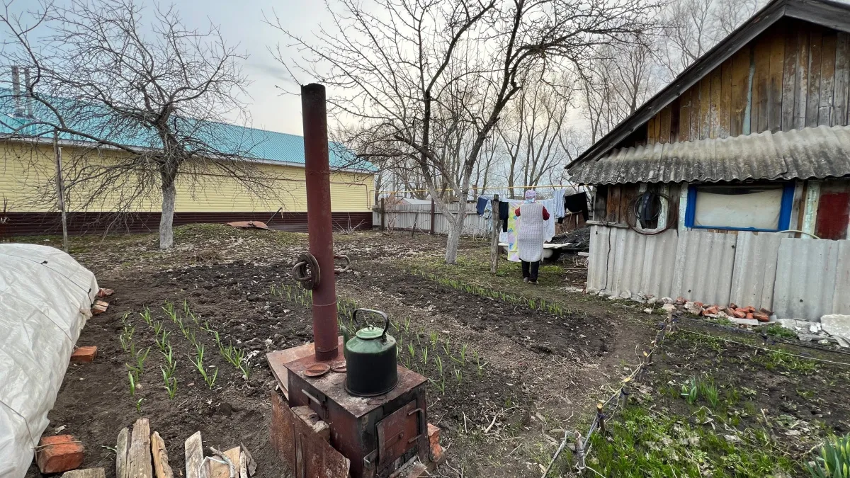 Грядка ожила без лопаты и навоза: удивительный способ восстановления почвы