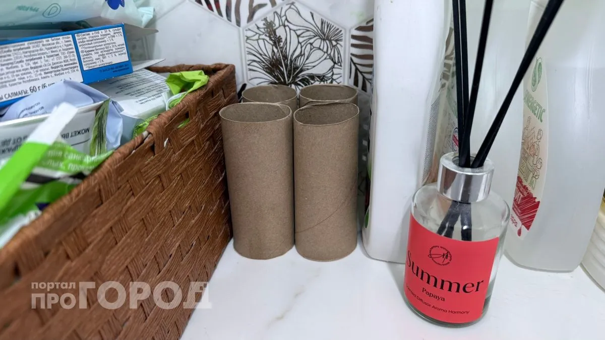 Втулки от туалетной бумаги - спасение для квартиры: как переделать мусор в полезное