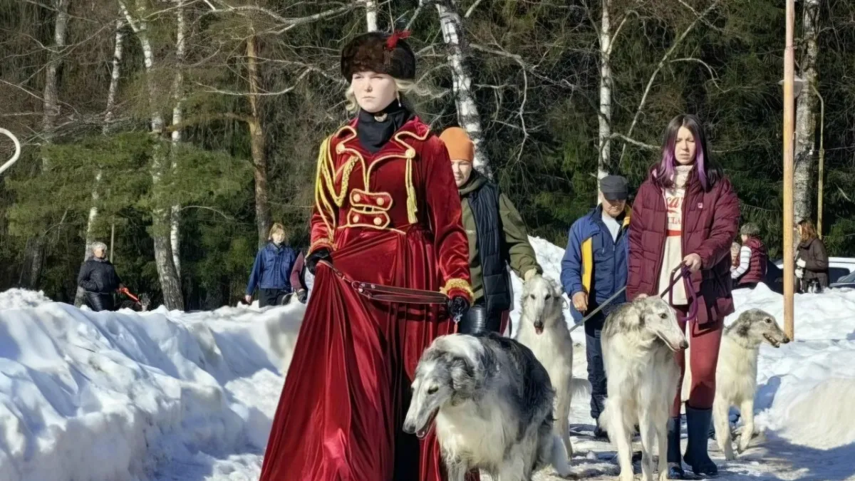 В Ярославской области прошли бега борзых