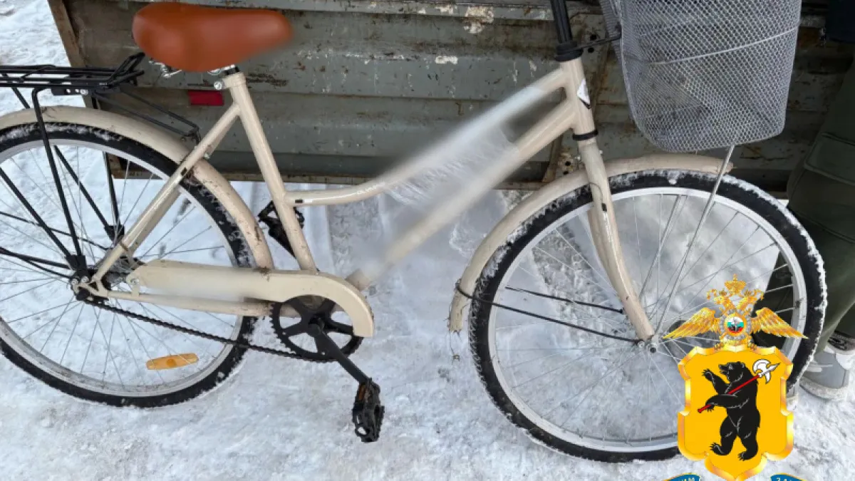 В Ярославской области мужчина украл со склада четыре велосипеда на 80 тысяч рублей