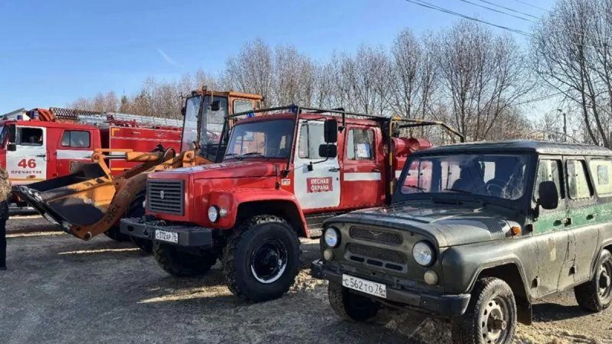 Ярославская область прошла федеральную проверку готовности к лесным пожарам