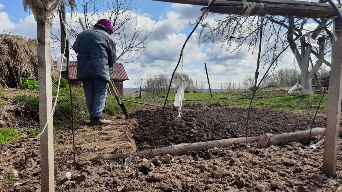 Бесплатное удобрение под ногами: как заготовить листовой перегной в марте — простой способ сэкономить на почвосмеси