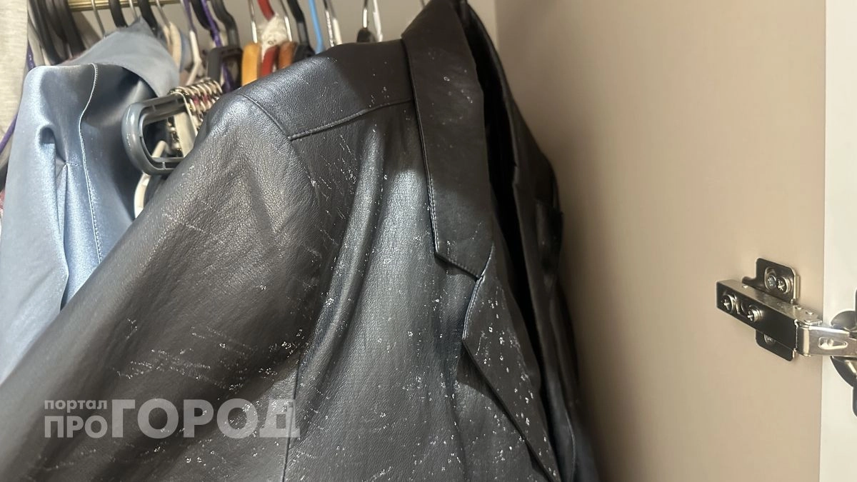 Эко-активисты против кожзама: почему под удар попали и натуральная кожа, и ее имитация