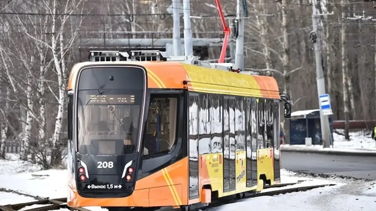 204 новых автобуса и отказ от наличных: как изменится транспорт Ярославля