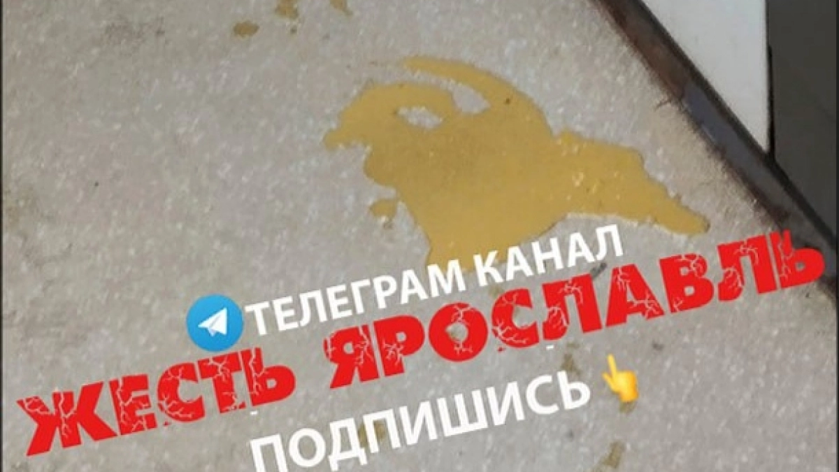 В Брагино женщина кошмарит соседей: " Обливает фекалиями двери, полы, лифт"