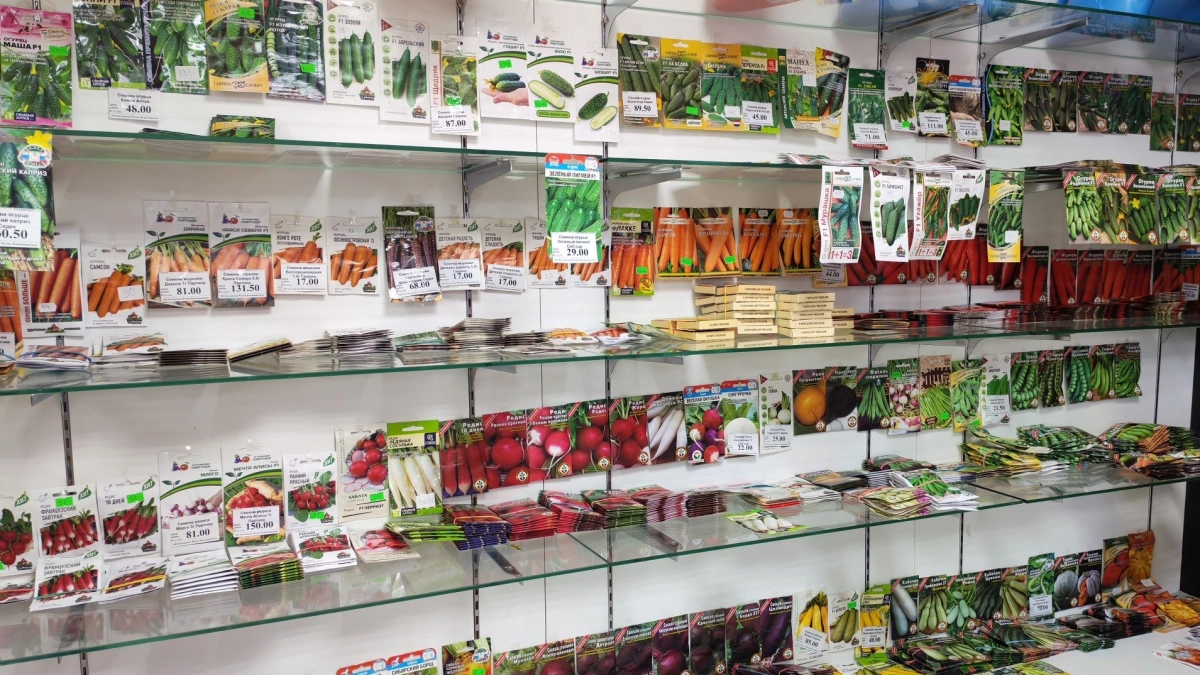 В Ярославле наказали торговца семенами запрещённых томатов