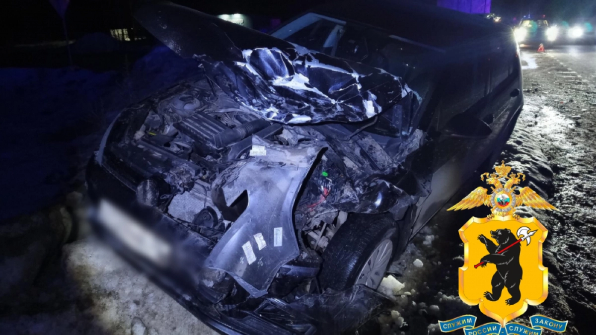 Девятилетняя девочка и 35‑летний мужчина пострадали в ДТП на трассе в Ярославской области